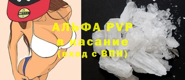 прущие грибы Армянск