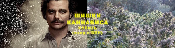 ALPHA-PVP Аркадак